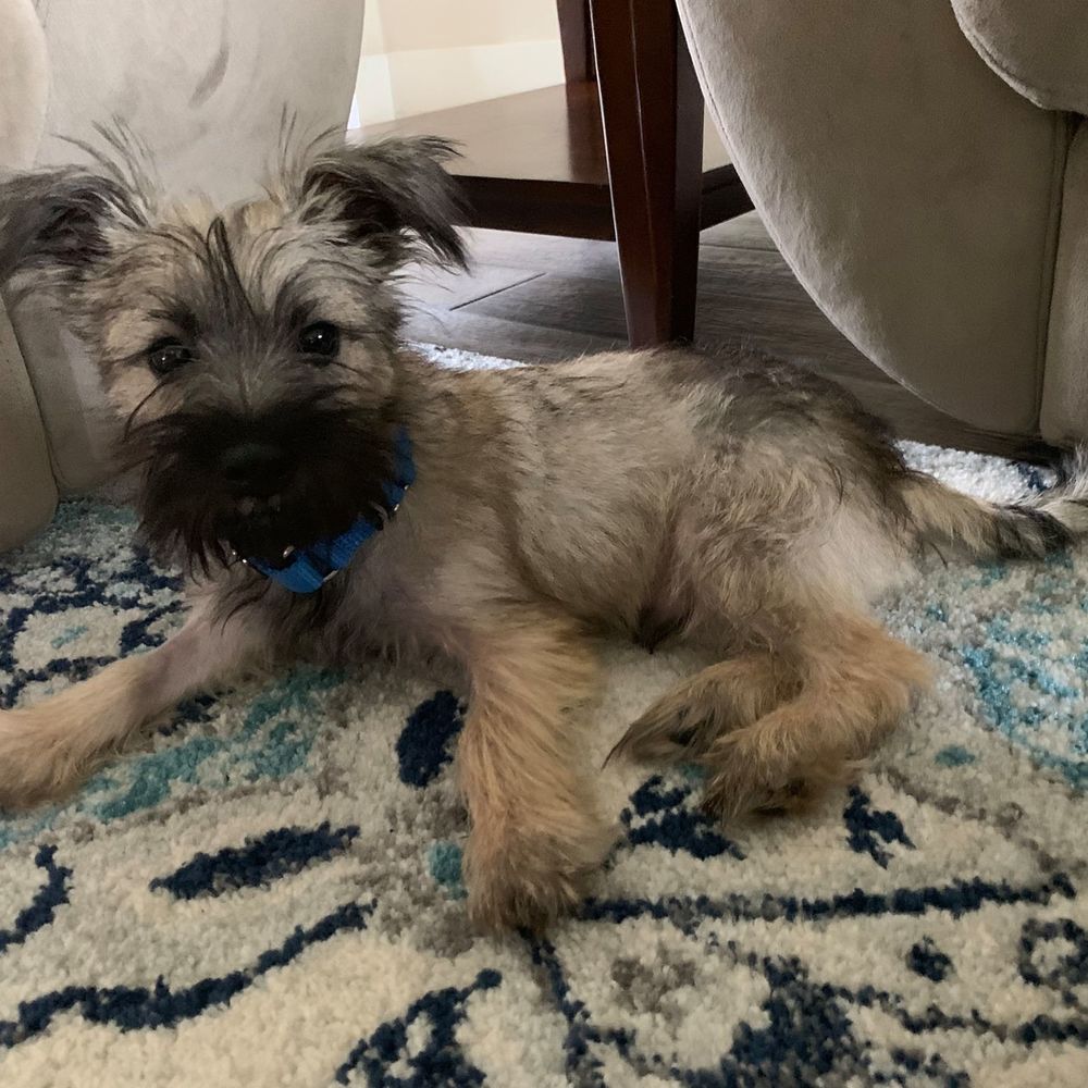 Meet your Posher, Susan